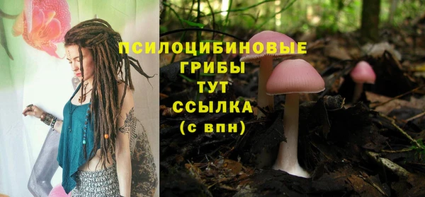 прущий лед Красноперекопск