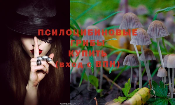 винт Кулебаки