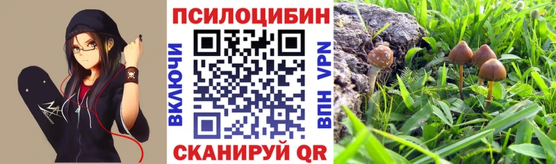 Купить  Верещагино  Псилоцибиновые грибы мухоморы 